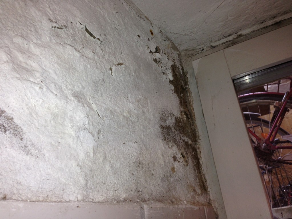 Besiktning bostadsrätt Källare