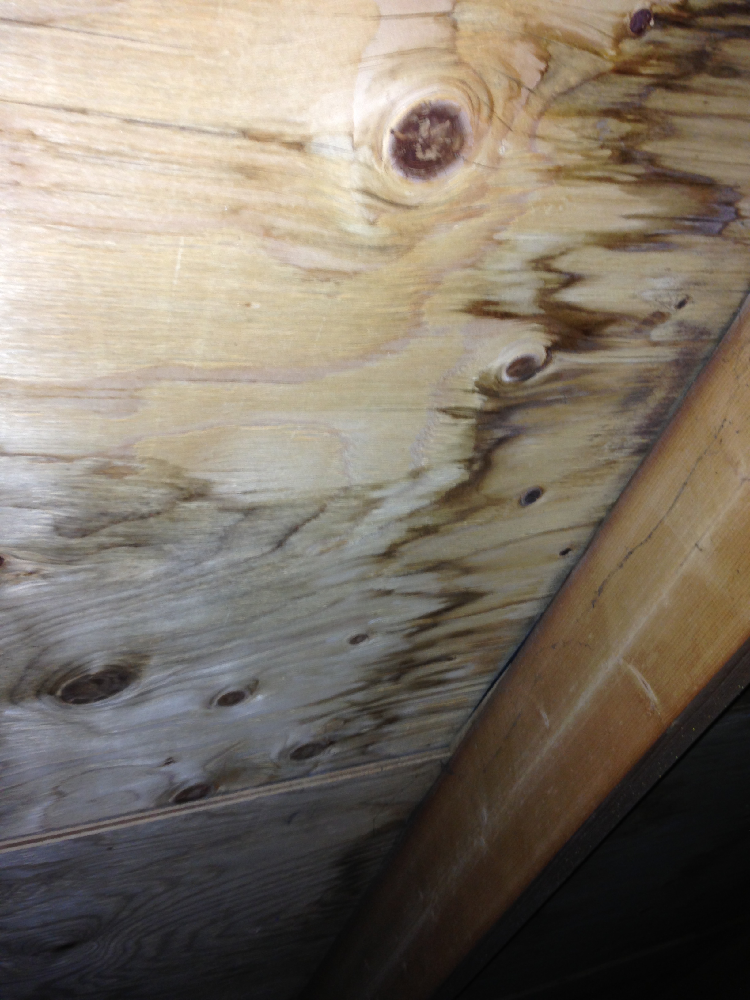 Plywood
