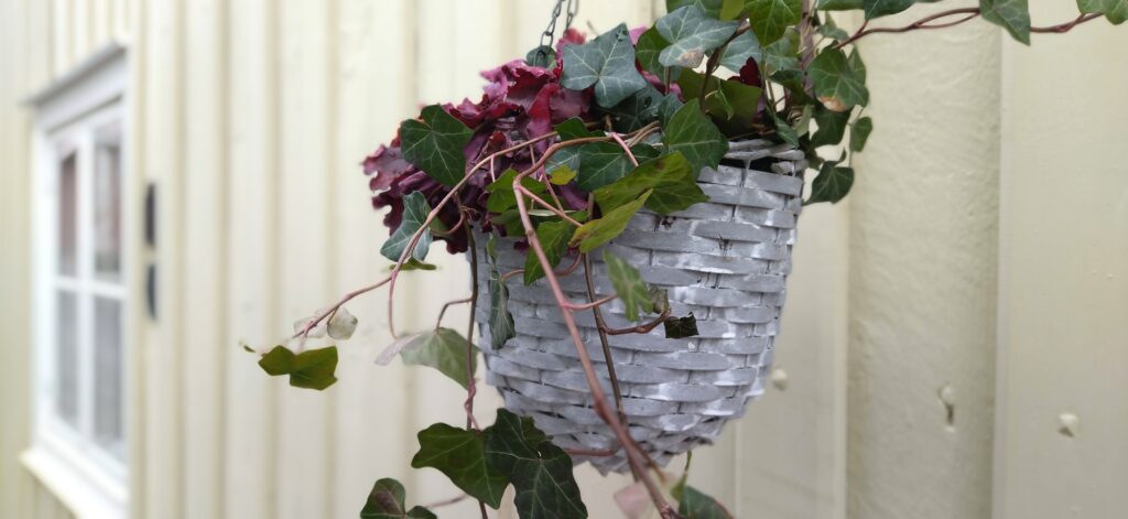 Husbesiktning, bra tips för köpare och säljare 2 Köparens undersökningsplikt och säljarens upplysningsplikt