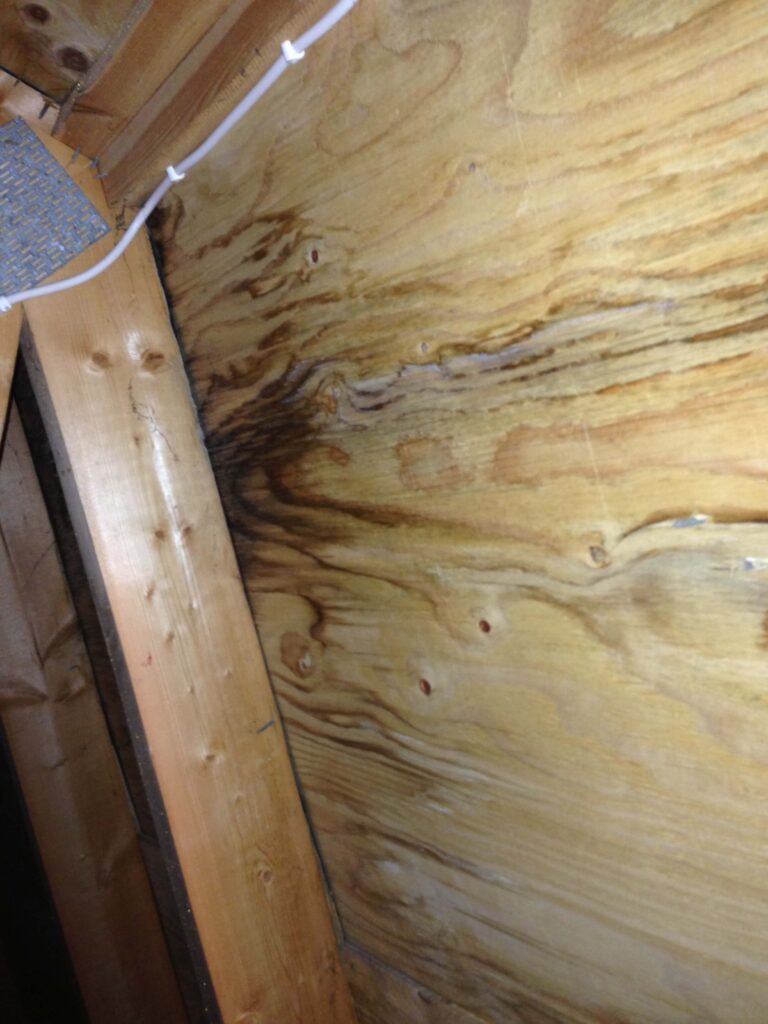 Fuktbesiktning i hus – fuktskadat trä